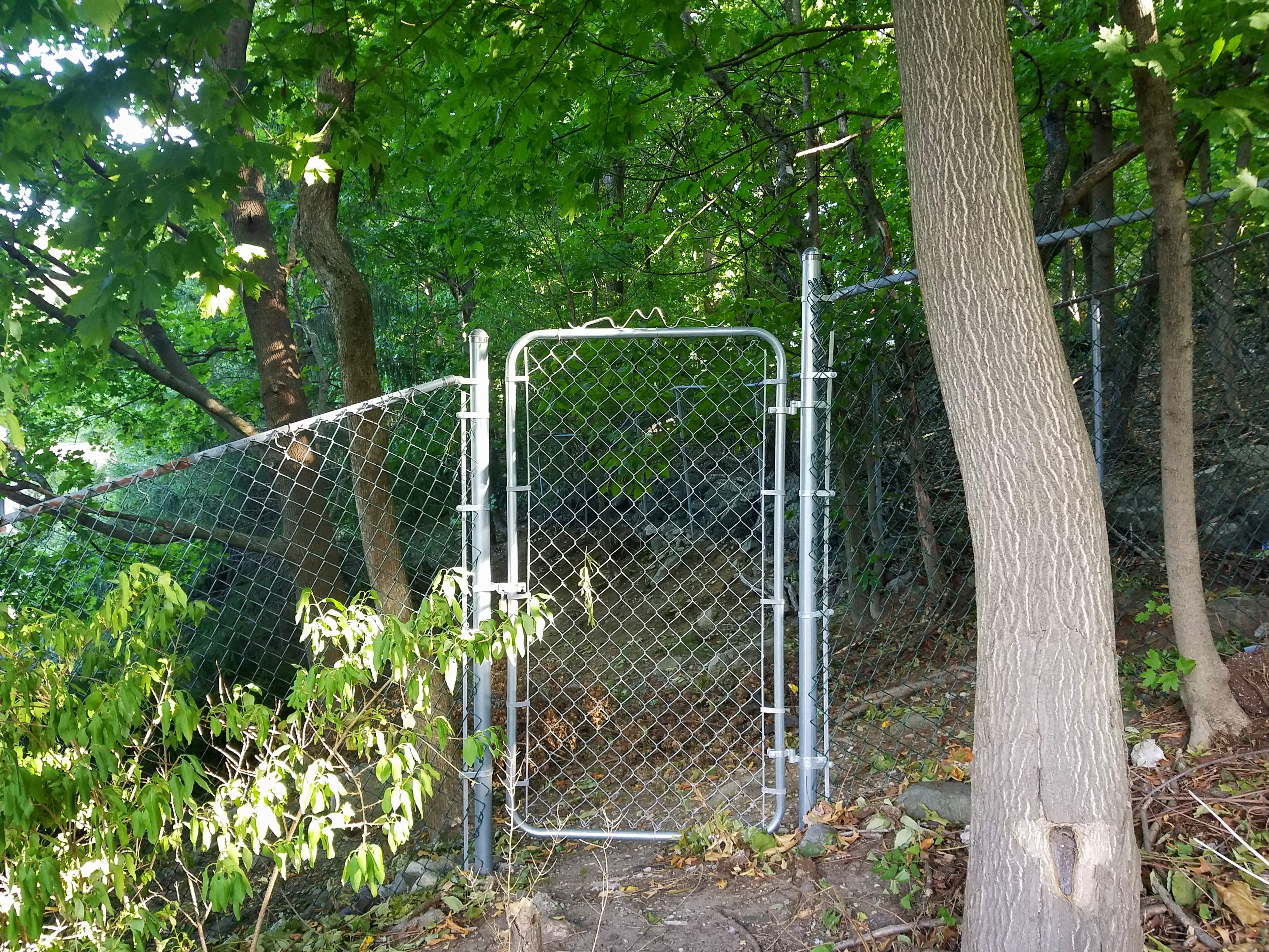 Residential chain-link fence gate needing service